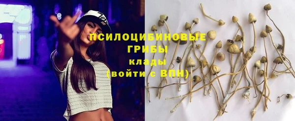 кристаллы Заволжск
