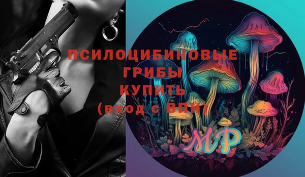 2c-b Заводоуковск