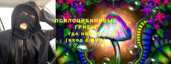 PSILOCYBIN Зеленокумск
