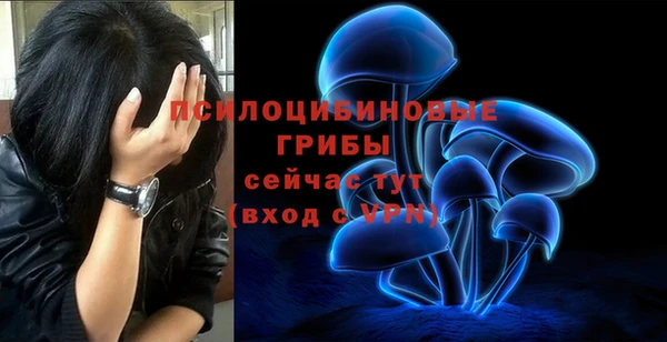 2c-b Заводоуковск