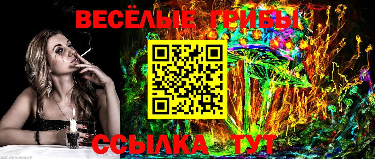 Псилоцибиновые грибы Psilocybine cubensis Гудермес