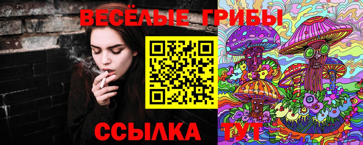 Галлюциногенные грибы прущие грибы  Гудермес 