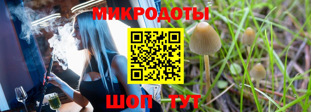 Галлюциногенные грибы Psilocybe  Псилоцибиновые грибы MAGIC MUSHROOMS  Вход с VPN  Гудермес 