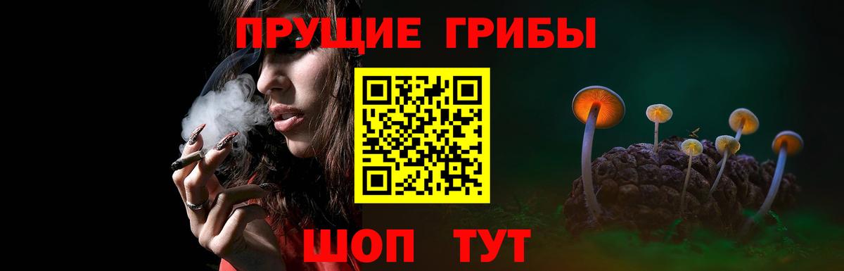Галлюциногенные грибы Cubensis Гудермес